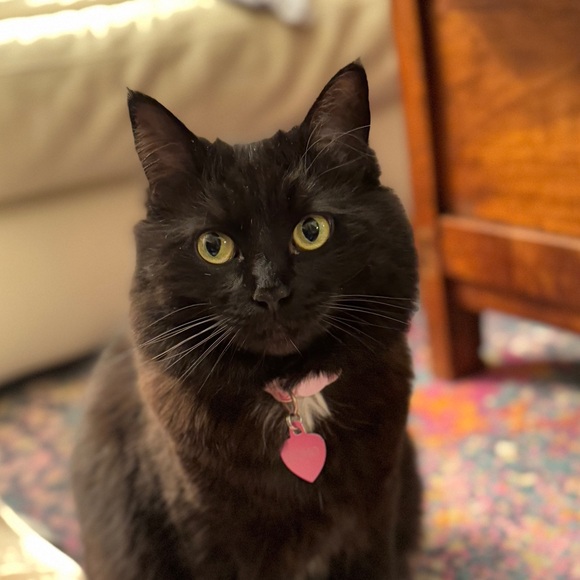 Hi :) - Picture 6 of 8